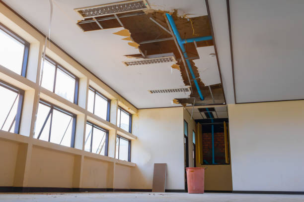 Reliable Scenic Oaks, TX Water damage restoration Solutions