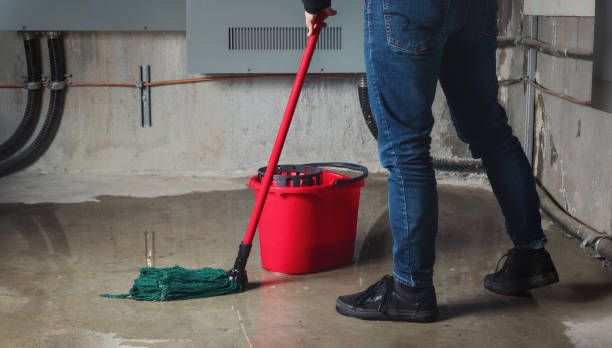 Water damage restoration insurance claims in Scenic Oaks, TX