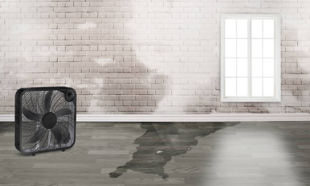 Best Commercial water damage restoration  in Scenic Oaks, TX
