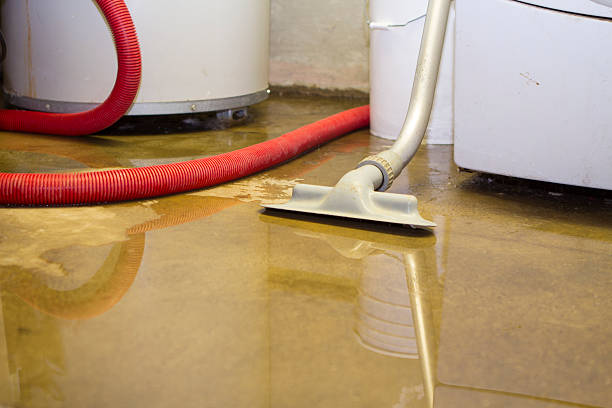 Best Emergency water damage restoration  in Scenic Oaks, TX