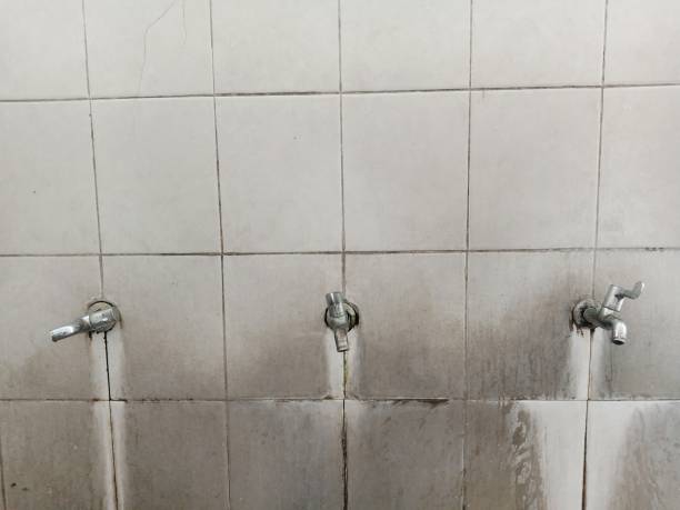 Water damage restoration mold remediation in Scenic Oaks, TX