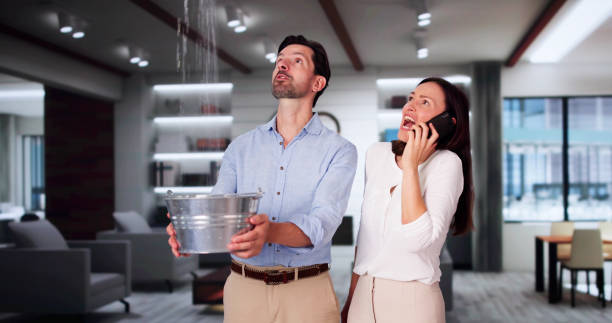 Best Water damage restoration experts  in Scenic Oaks, TX