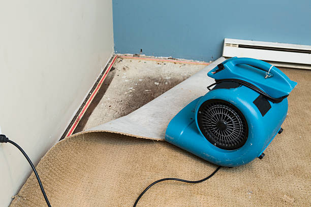 Best Ceiling water damage repair  in Scenic Oaks, TX