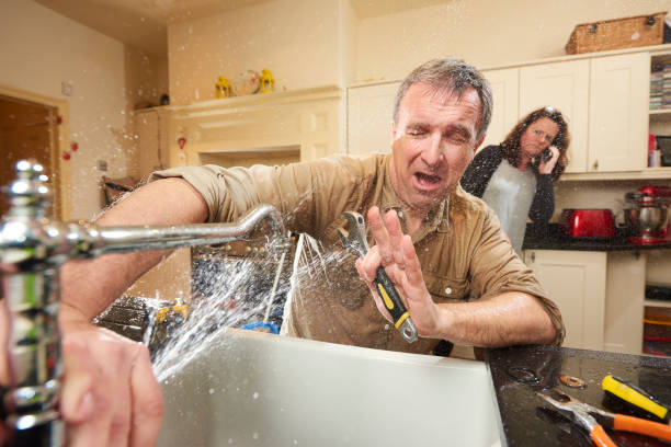 Best Professional water damage repair  in Scenic Oaks, TX